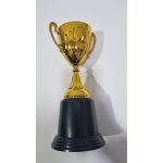 גביע ניצחון